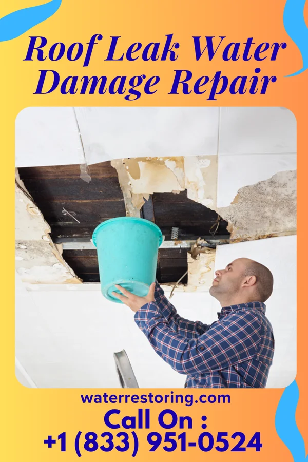 Roof Leak Water Damage Repair in Poynette, WI